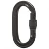 Black Diamond Oval Locker Carabiner - Schraubkarabiner -Zubehör Verkäufe black diamond oval locker carabiner schraubkarabiner